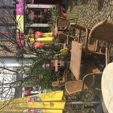 Des Goûts Et Des Couleurs
